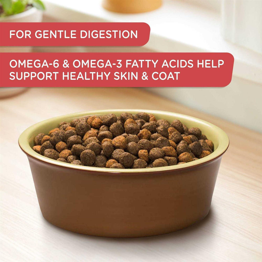Salmon Veggies & Brown Recipe Dry Dog Food W634673