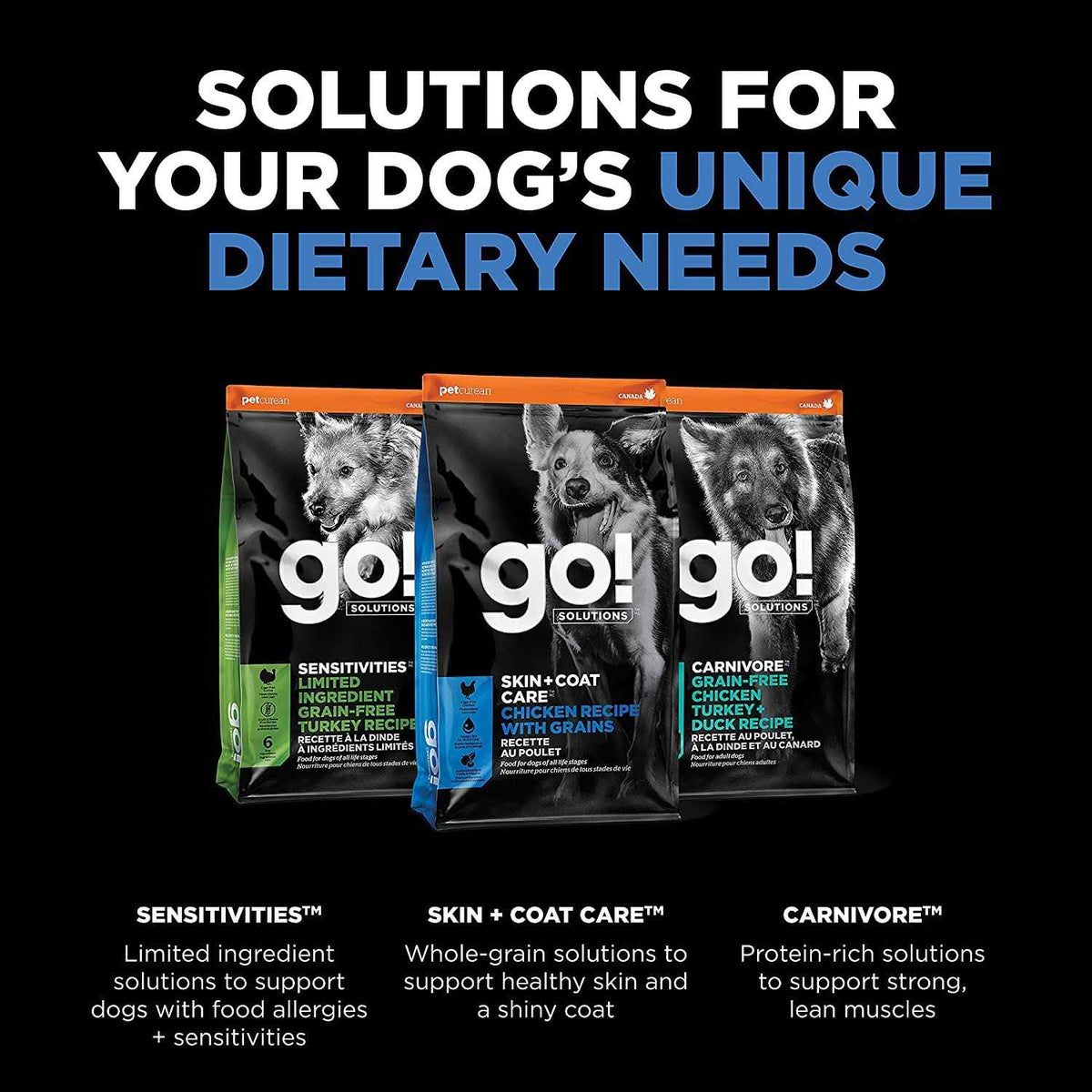Chicken Recipe Dry Dog Food N653083