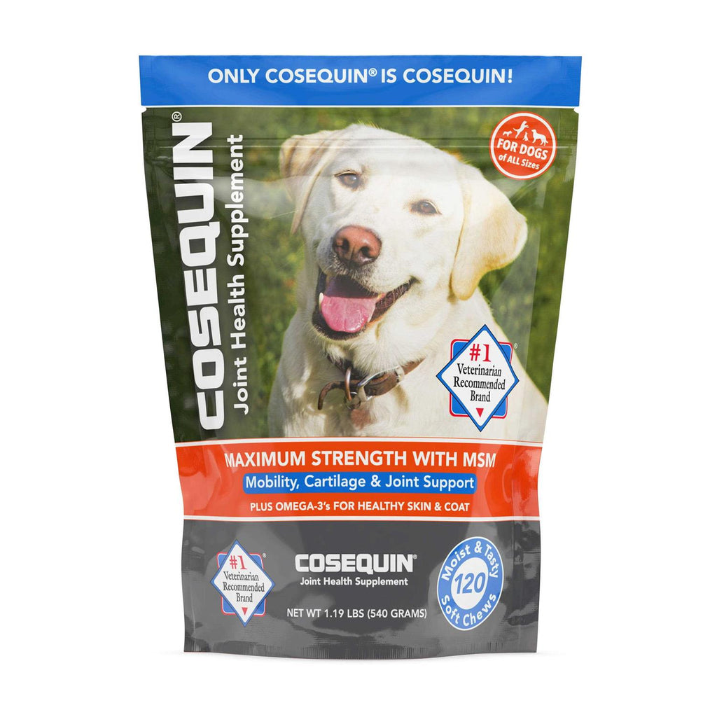Soft Chews with MSM Plus Omega-3s for Dogs R182