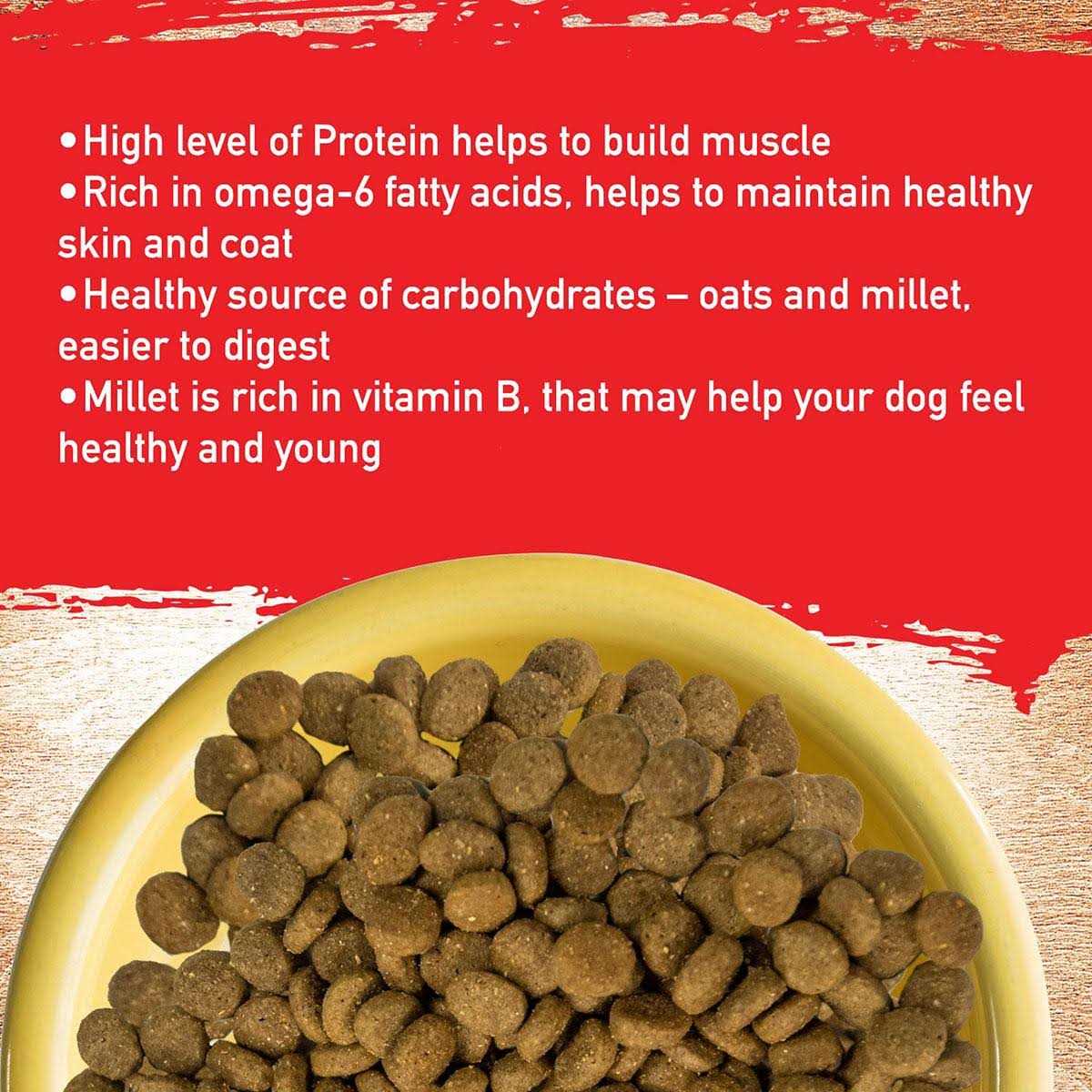 Pork Recipe Dog Food N783308