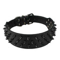 Black Spiked Studded Leather Dog Collar X4949
