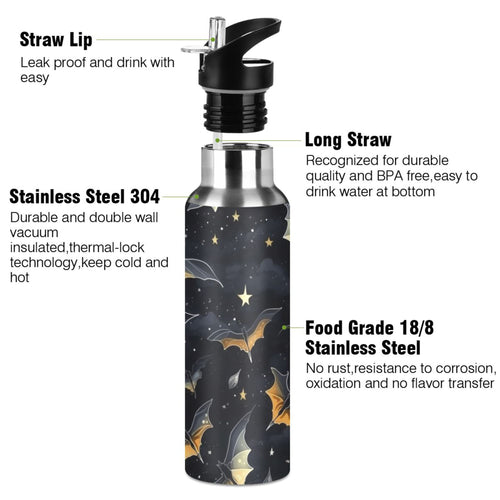 20 oz Insulated Stainless Steel Water Bottle with Straw Lid G620361