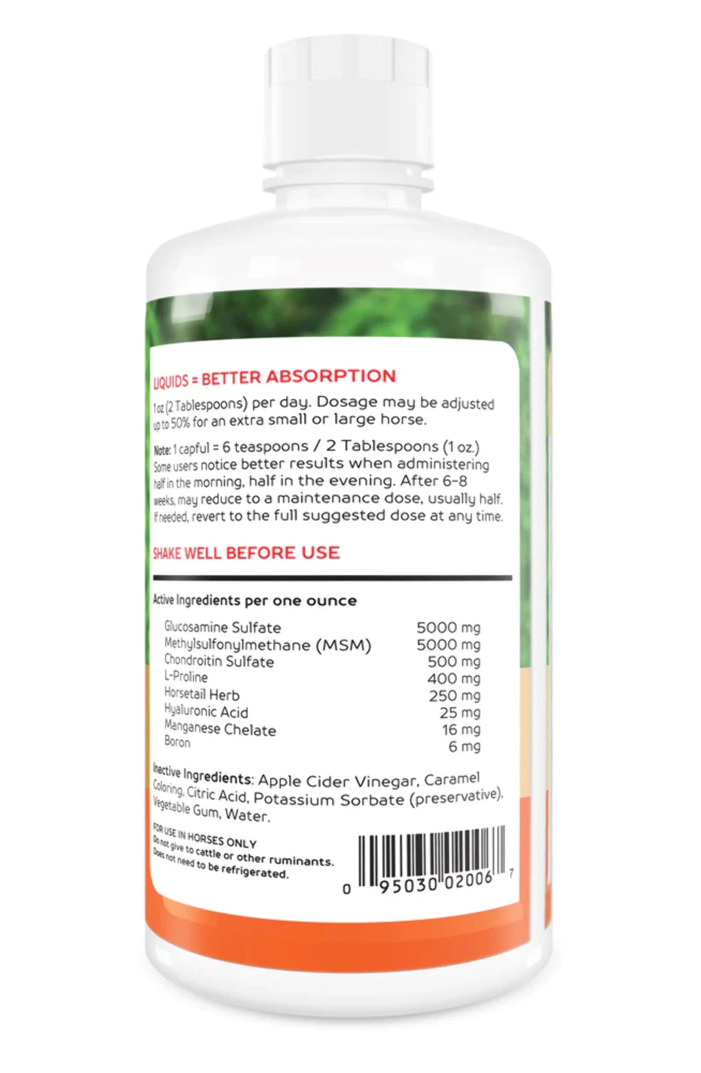 Liquid Glucosamine Joint Health B944832