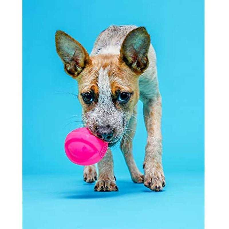 Squeaky Latex Dog Toy K349