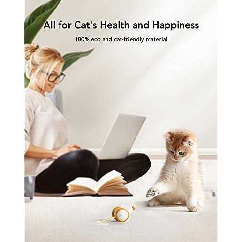 Interactive Cat Toys with LED Lights U449341