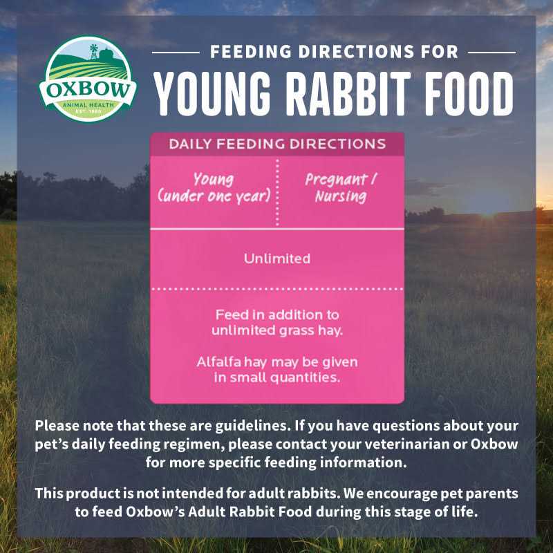 Young Rabbit Food N314