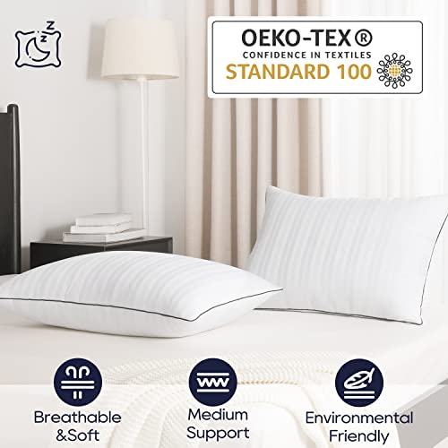 Down Alternative Pillows King Size Set of 2 N945