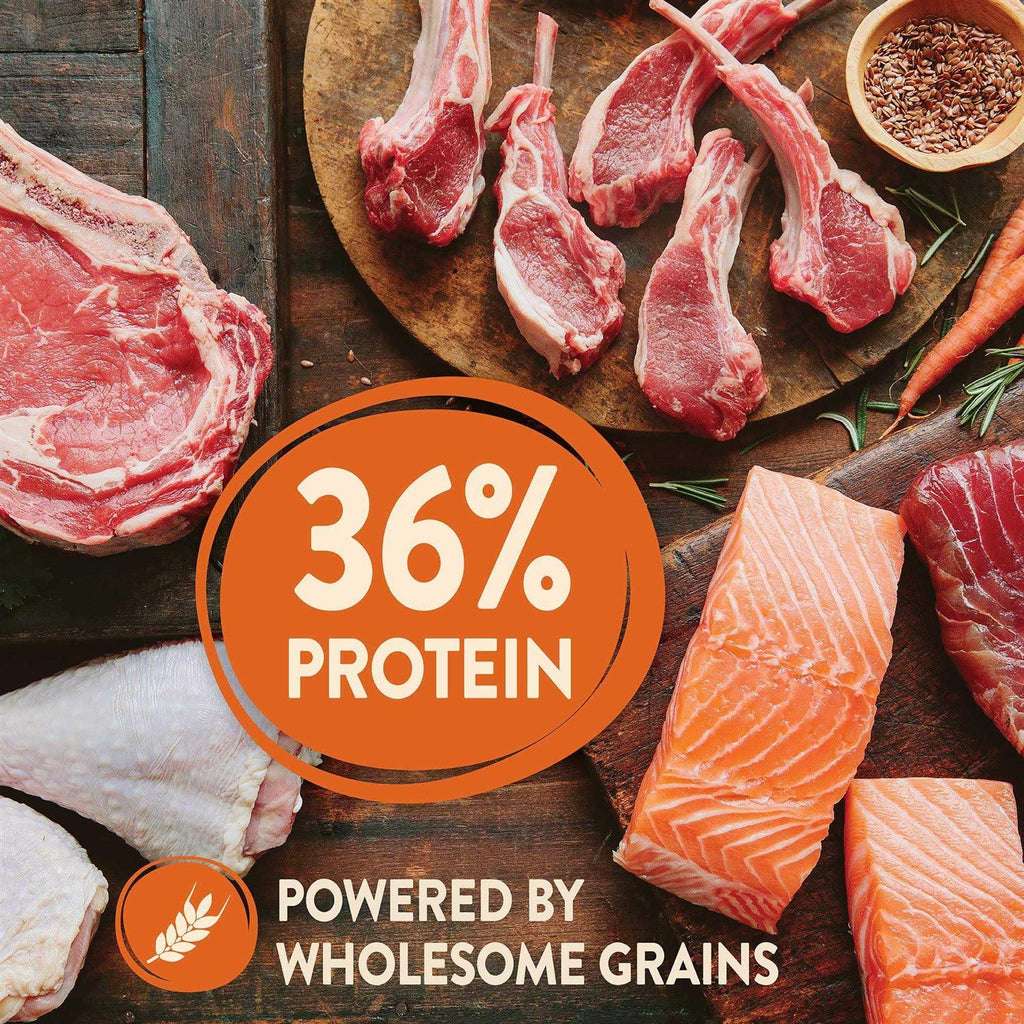 High Protein Wholesome Grains Puppy Dry Dog Food I311