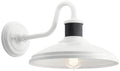 12" Wide Outdoor Wall Sconce R448672