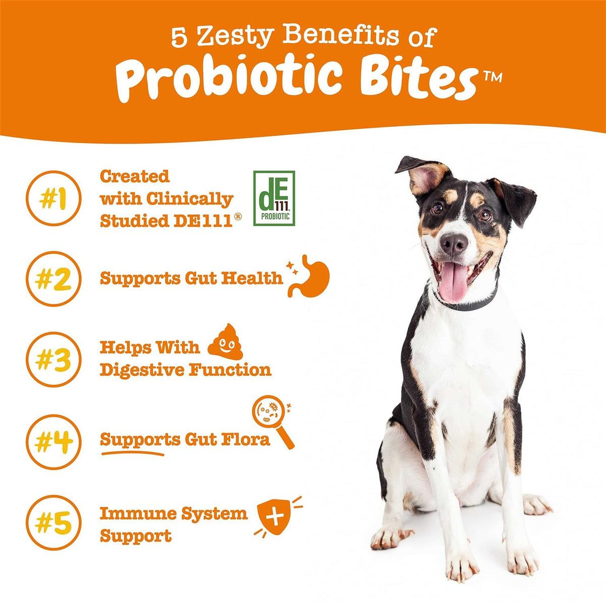 Probiotic Bites Digestive Supplement for Dogs Chicken 90 Soft Chews T6308