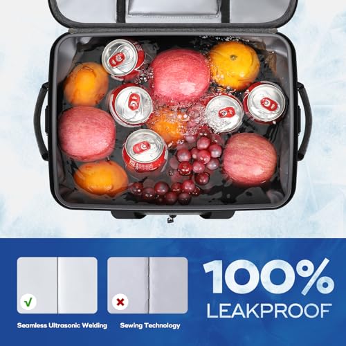 Collapsible Insulated Cooler Bag W17617