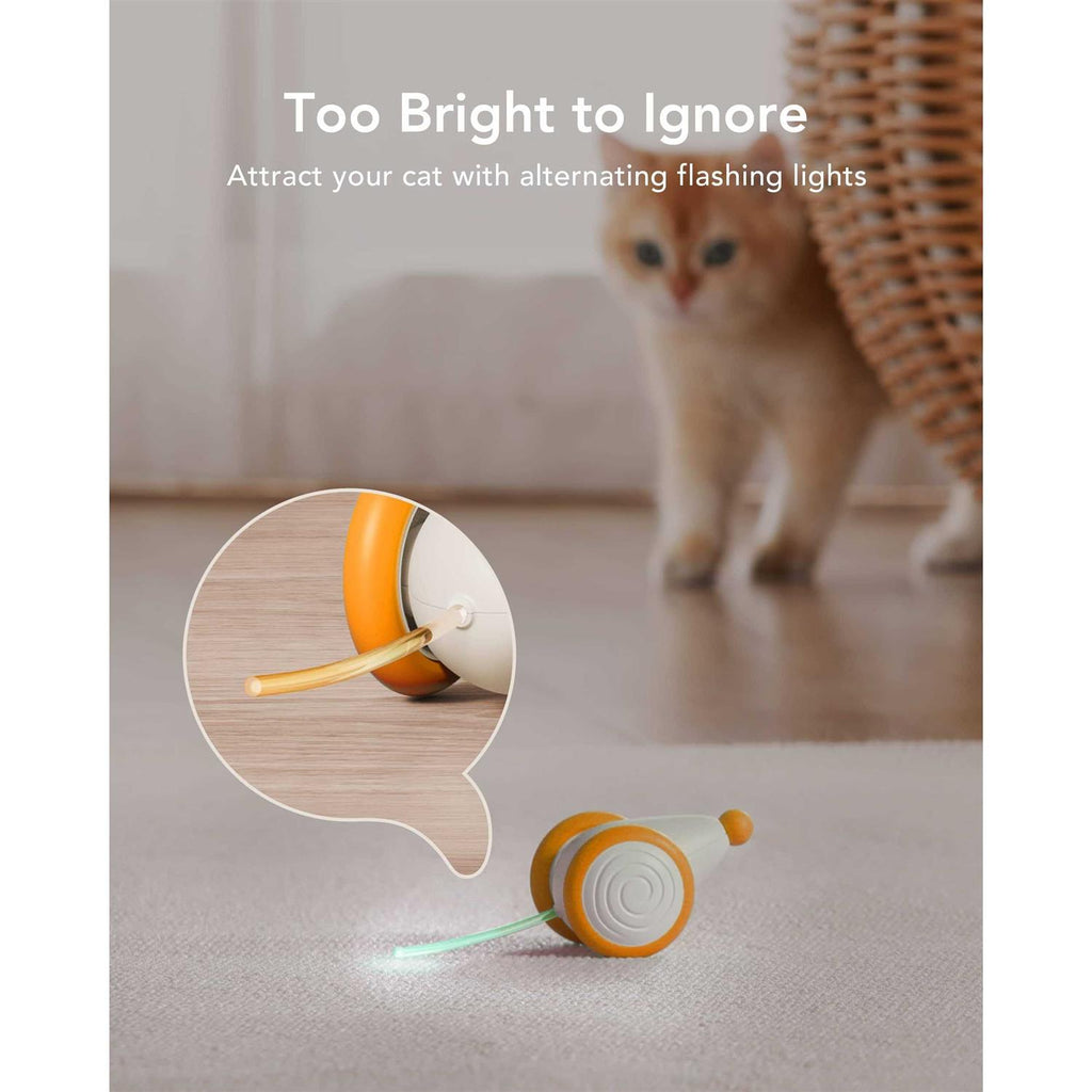 Interactive Cat Toys with LED Lights U449341