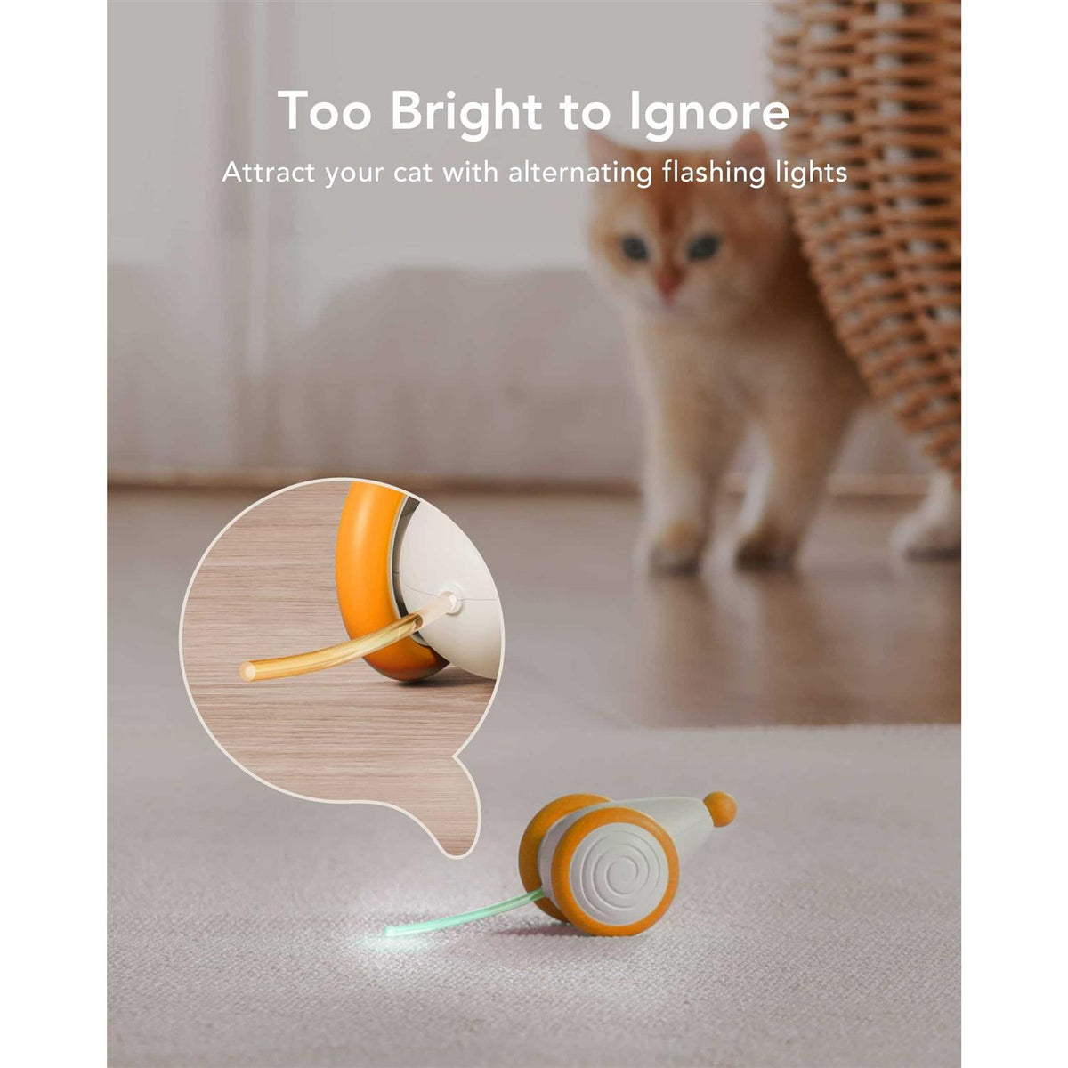 Interactive Cat Toys with LED Lights U449341