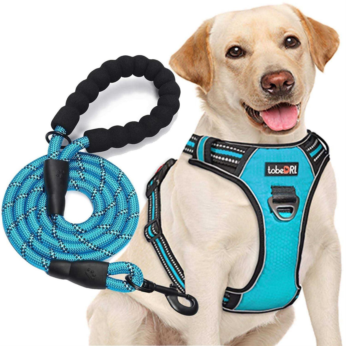 Adjustable Reflective Oxford Dog Harness with 5ft Dog Leash R839