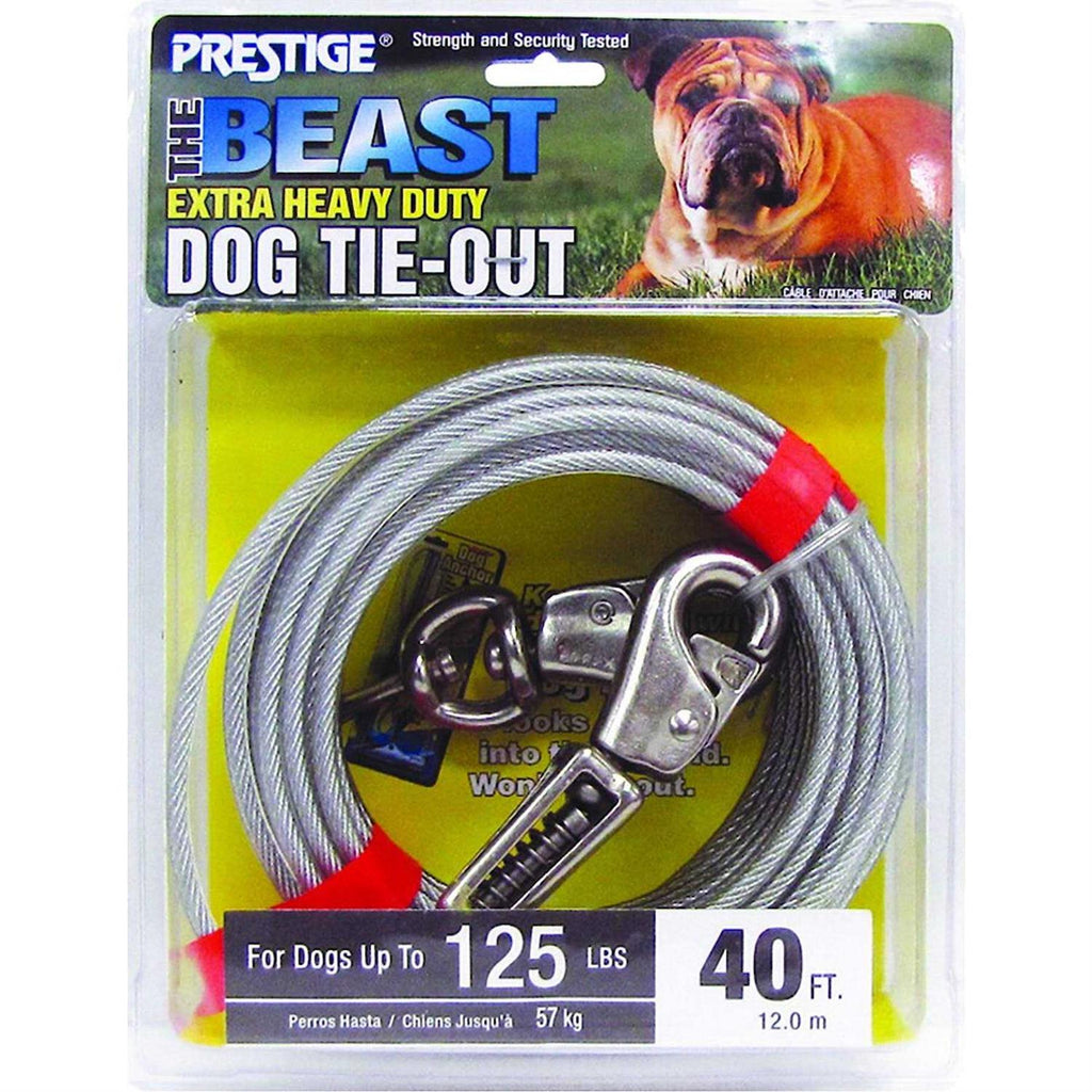 15ft XL Dog Tie-Out with Spring X261
