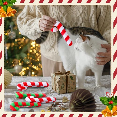 6 Pcs Catnip Cat Toys E18128