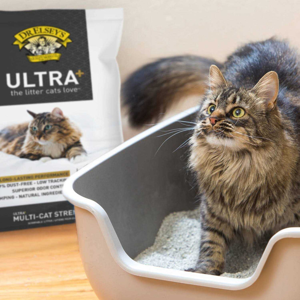 Cat Litter T26734