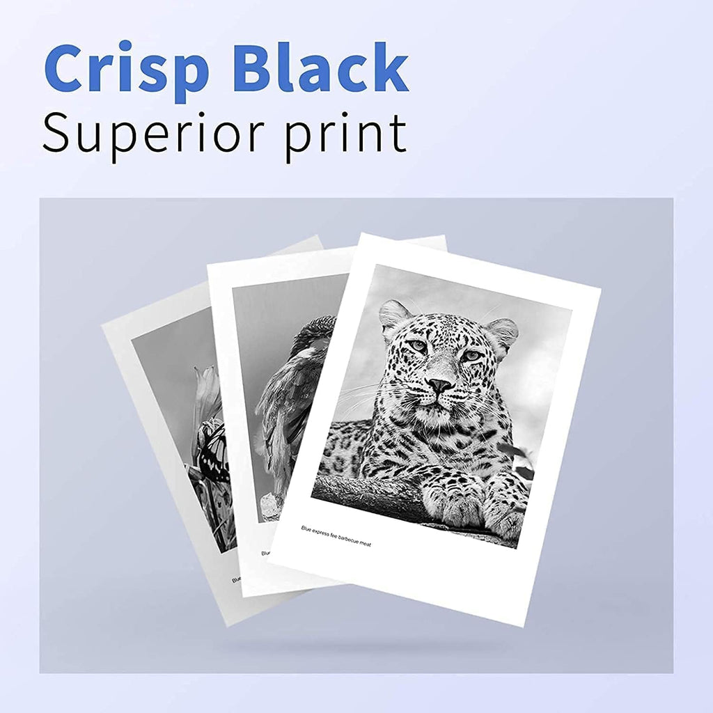 Black 2-Pack Compatible Toner Cartridge M18990