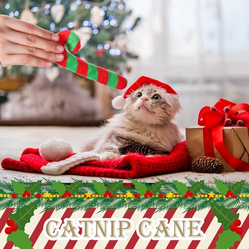 6 Pcs Catnip Cat Toys E18128