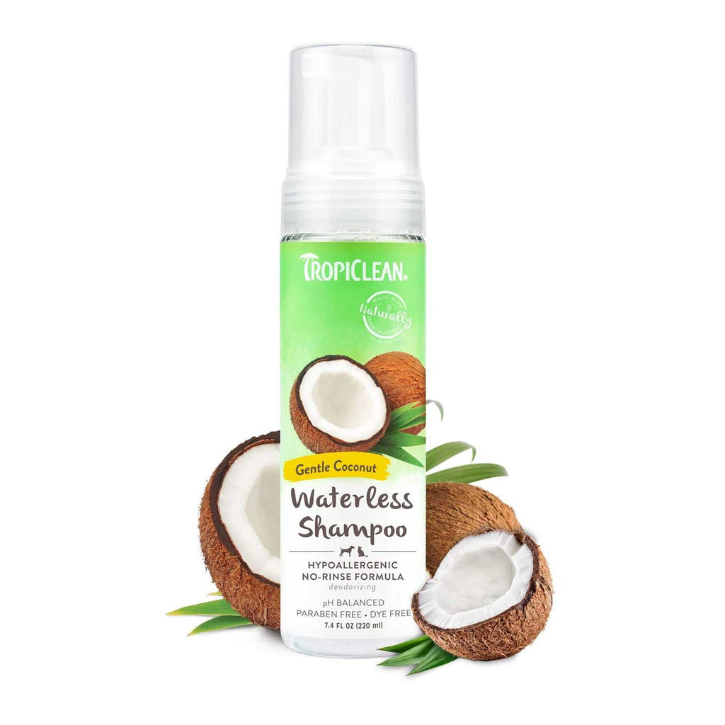 Waterless Shampoo Y8858