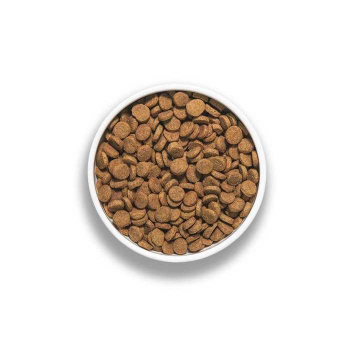 Pork Recipe Dog Food N783308