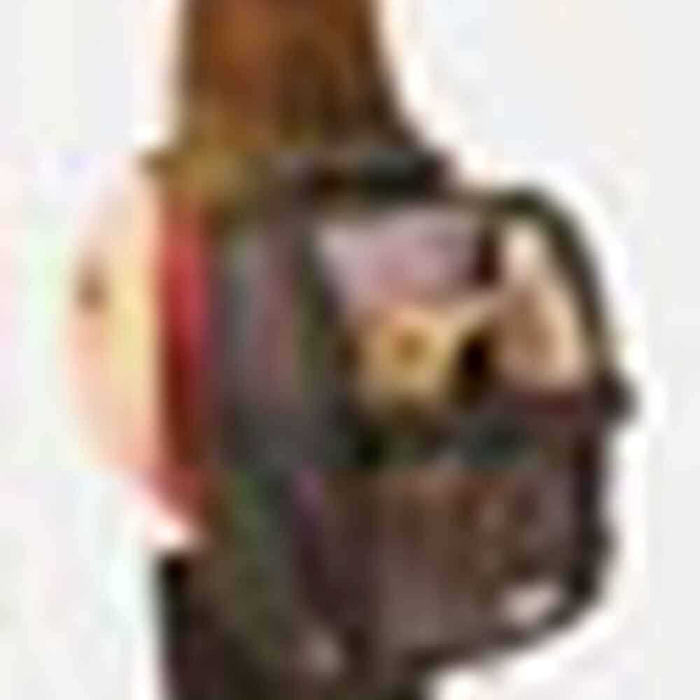 Travel Pet Carrier G381