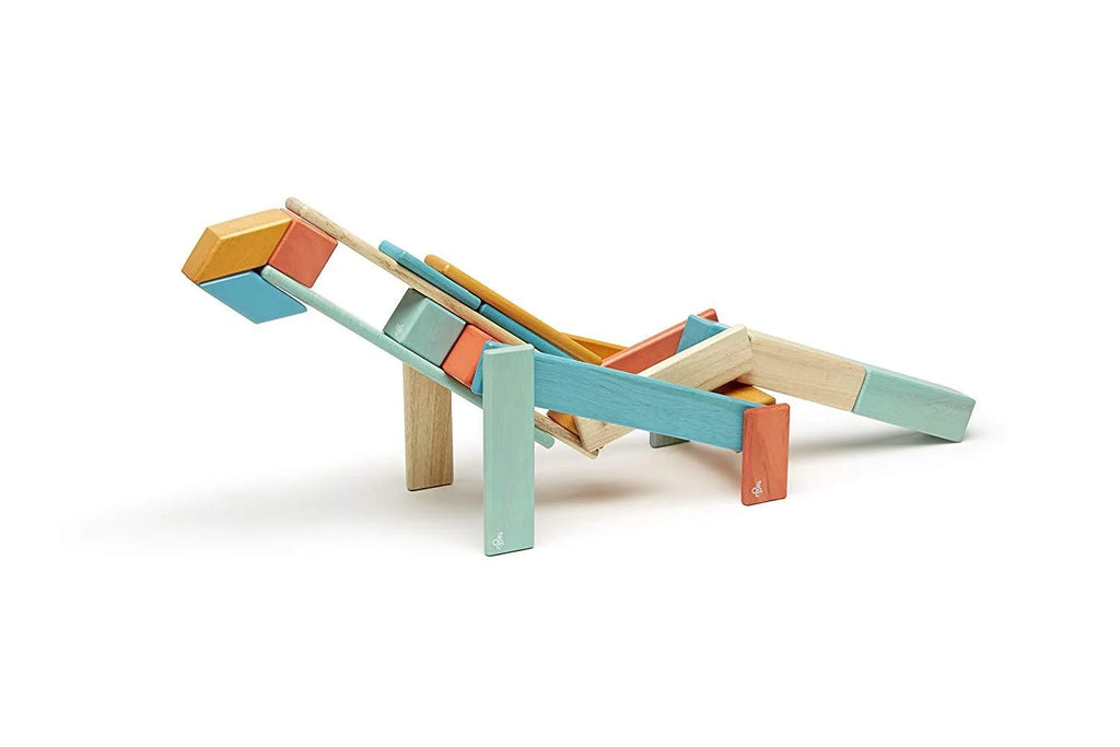 24 Piece Tegu Magnetic Wooden Block Set E86809