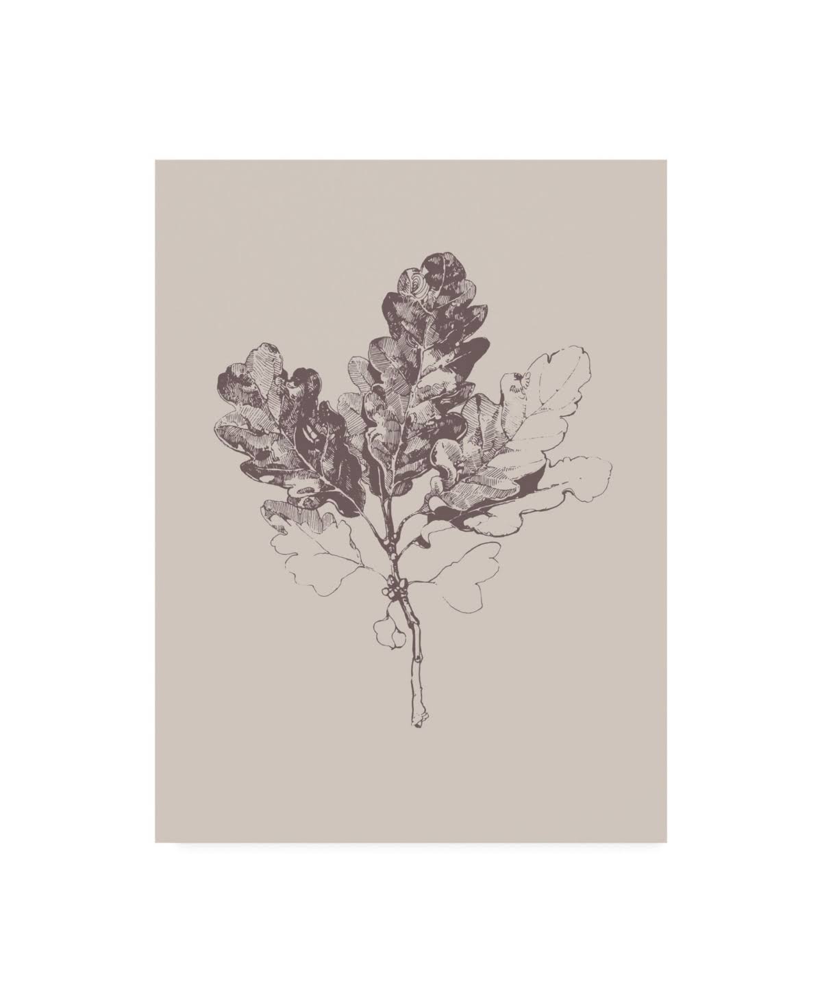 Botanica 3 Art Print G94009