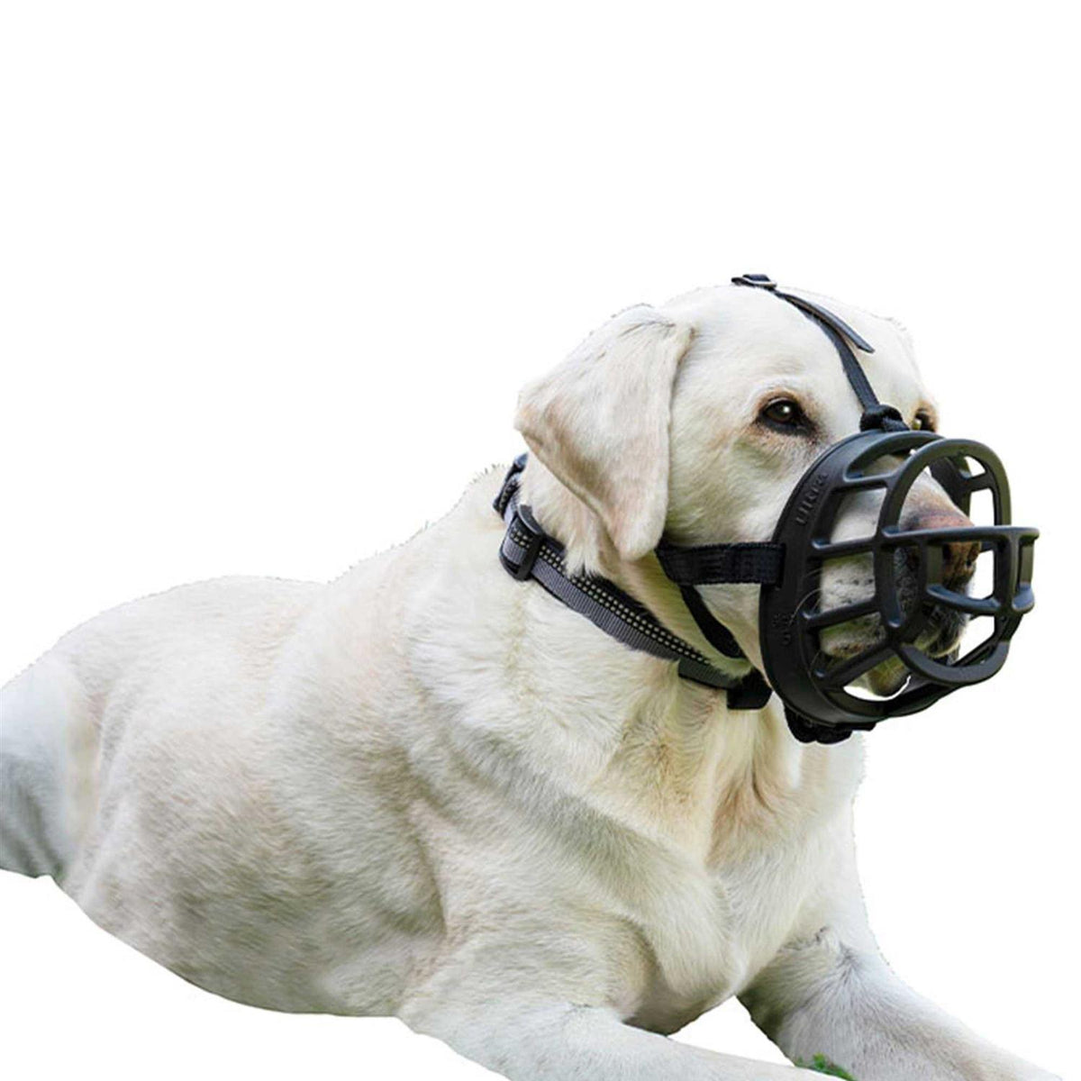 Ultra Muzzle G971825