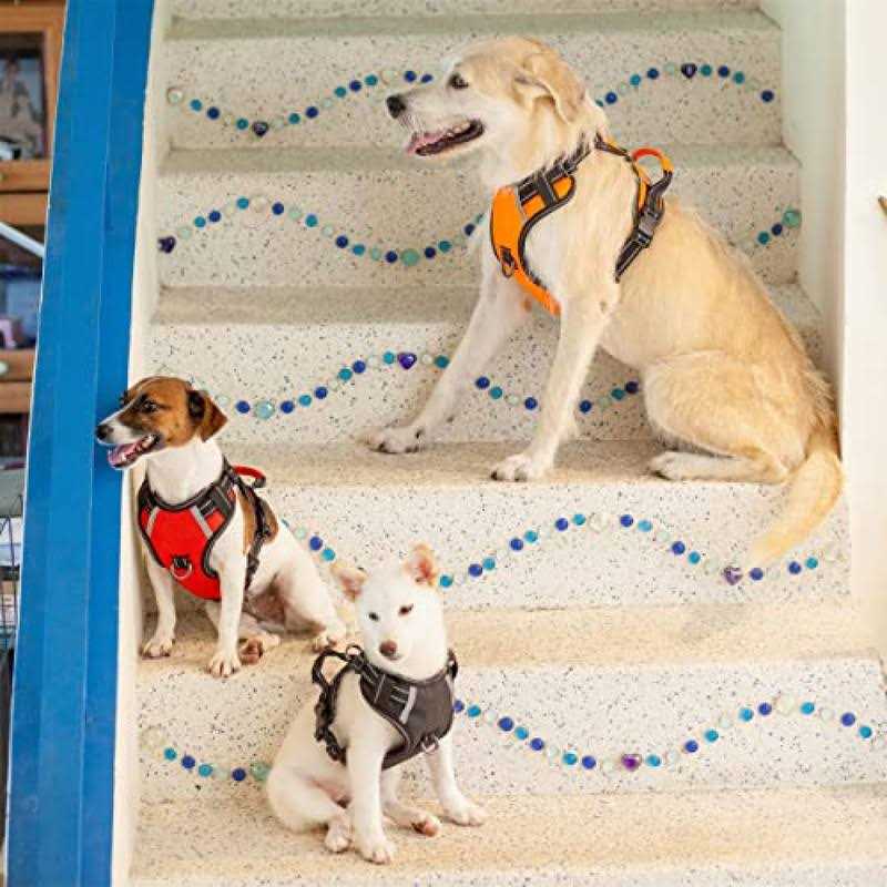 Adjustable Reflective Oxford Dog Harness with 5ft Dog Leash R839