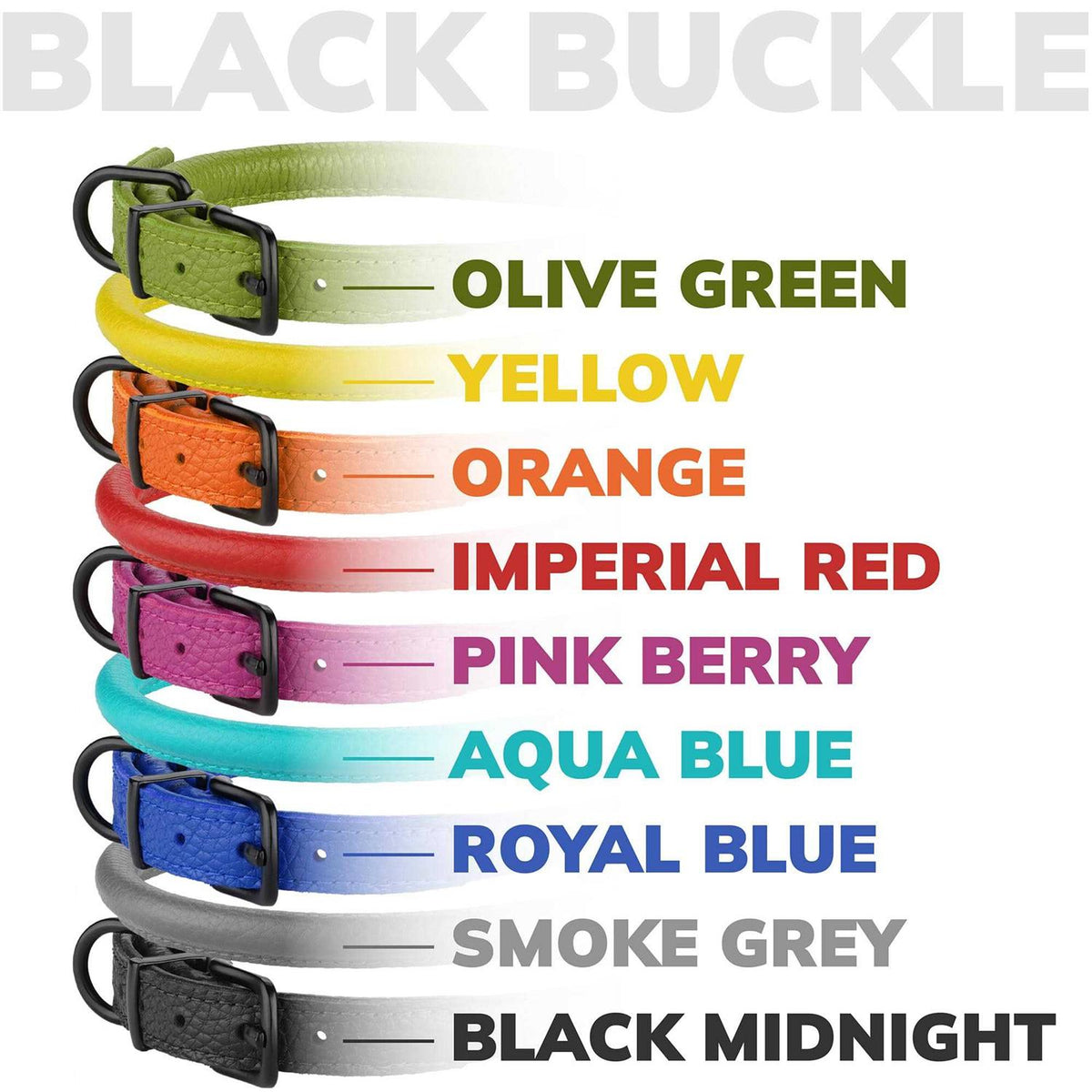 Rolled Leather Dog Collar with QR ID Dog Tag K658878
