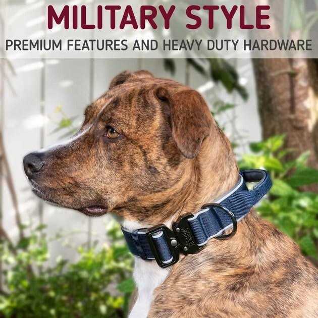 Heavy-Duty Adjustable Dog Collar with Handle R318046