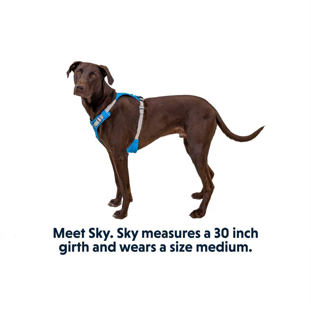 Hi & Light Dog Harness P73045
