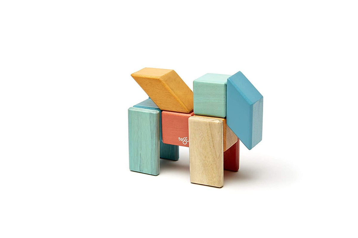 24 Piece Tegu Magnetic Wooden Block Set E86809