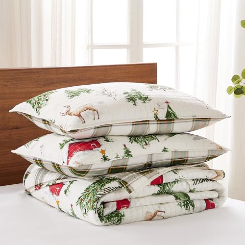 King/Cal King Red Green Brown White Cotton Reversible Quilt Set with Two King Pillow Shams Z75801
