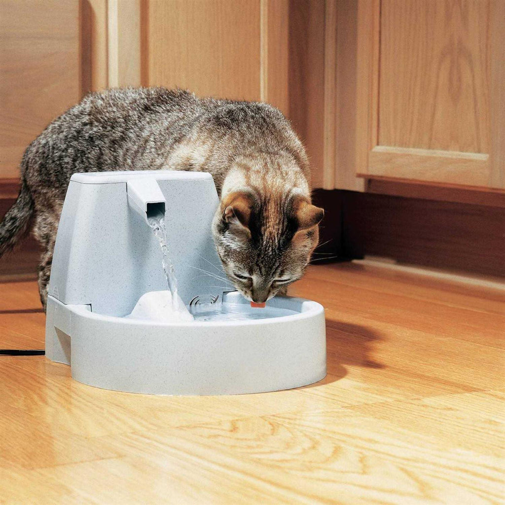 Original Pet Fountain D3572