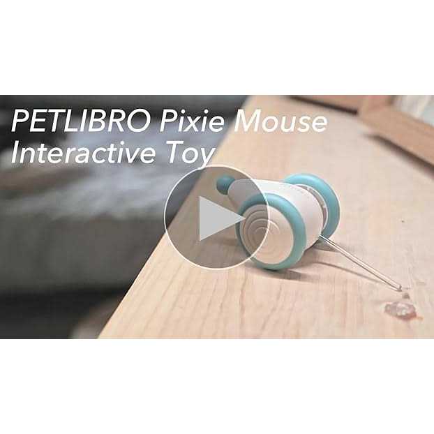 Interactive Cat Toys with LED Lights U449341