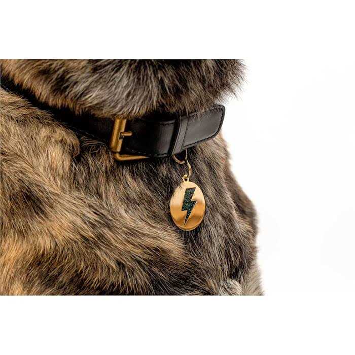 Pet ID Tag Q154980