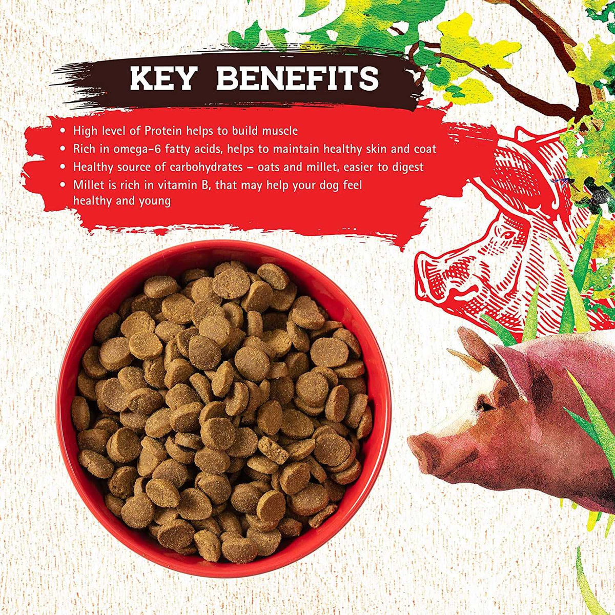 Pork Recipe Dog Food N783308