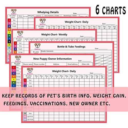 Soft Nylon Adjustable Breakaway Puppy ID Collar 14 Pc Z346