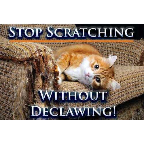 Cat Scratch Deterrent Spray A526612
