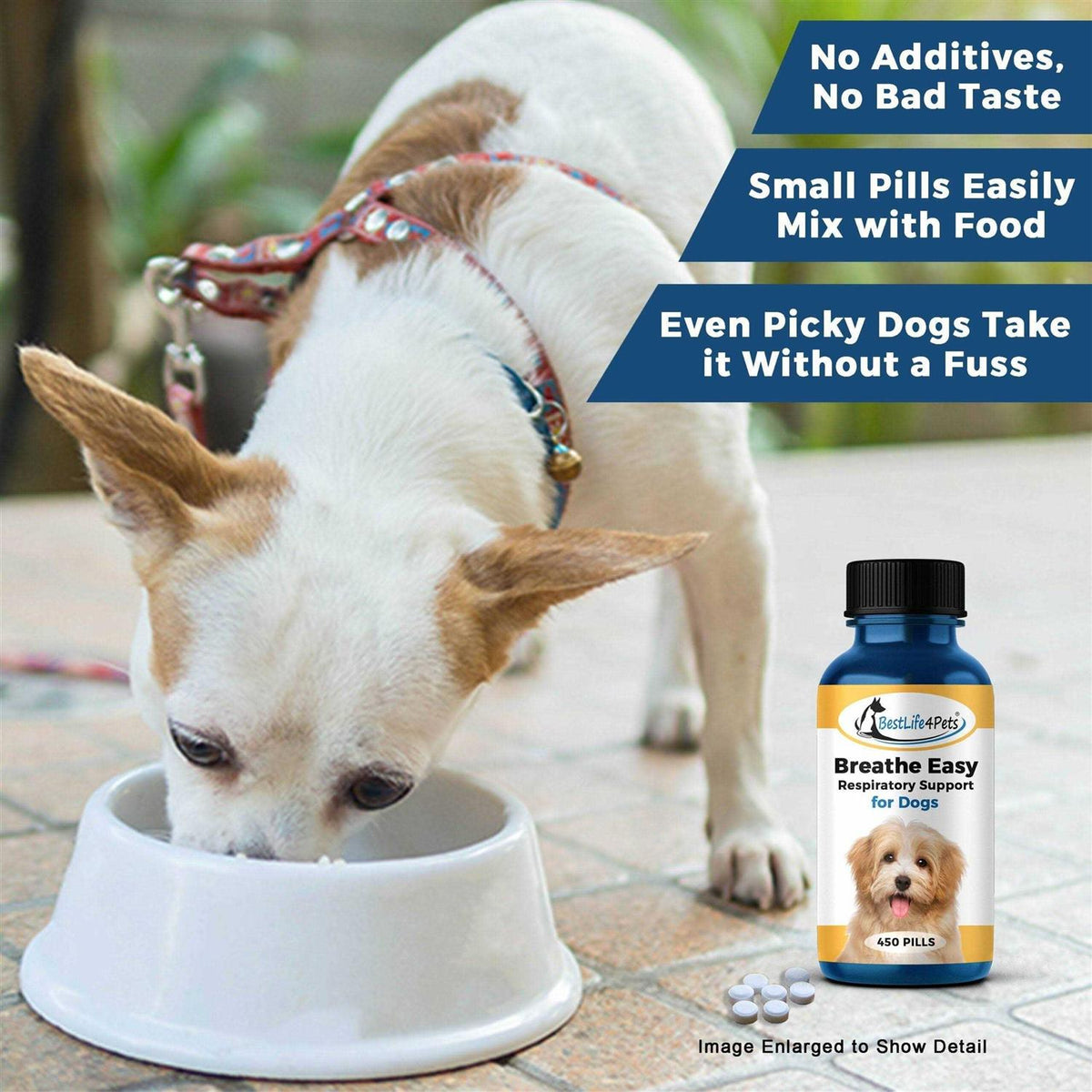 Breathe Easy for Dogs H33631
