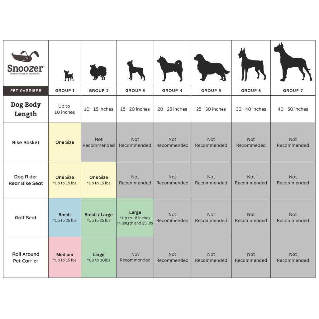 Travel Pet Carrier G381