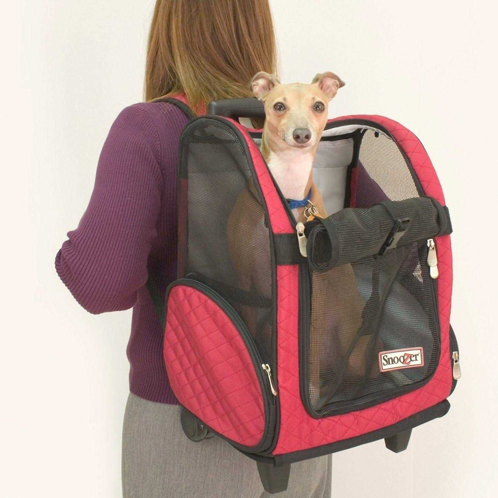 Travel Pet Carrier G381