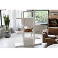 Bookshelf Cat Tree C170