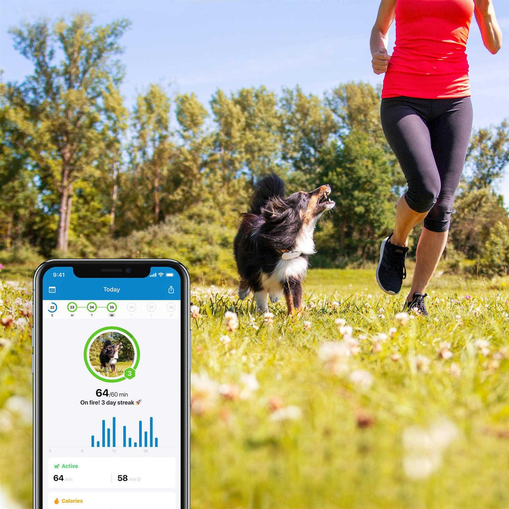 GPS Tracker for Dogs E70115