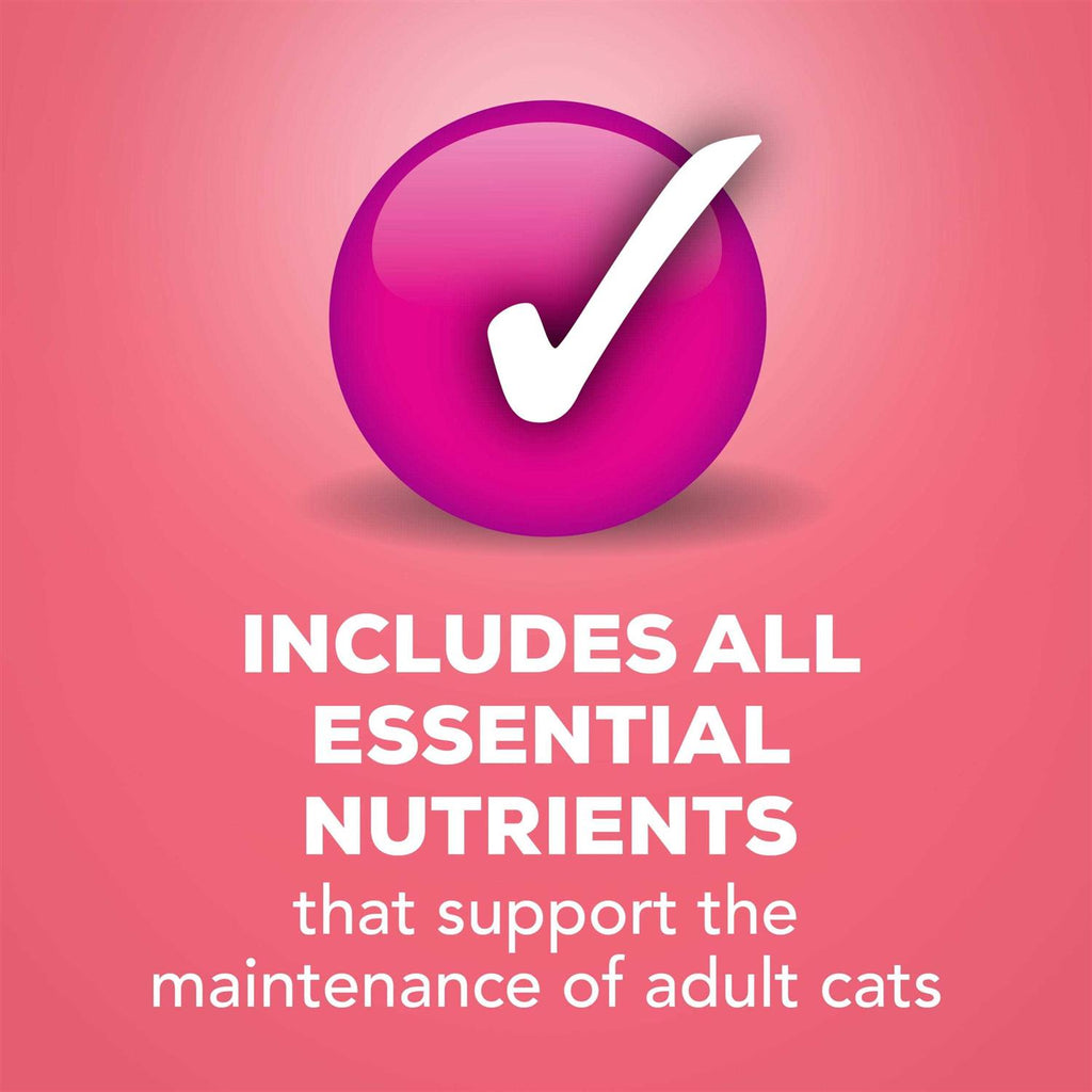 Wet Cat Food Salmon in Sauce L79896