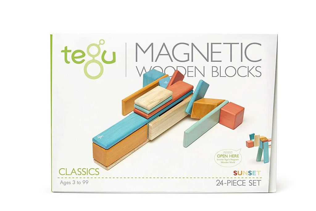 24 Piece Tegu Magnetic Wooden Block Set E86809