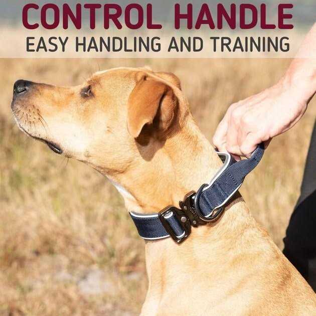 Heavy-Duty Adjustable Dog Collar with Handle R318046