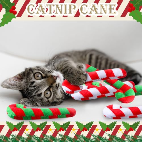 6 Pcs Catnip Cat Toys E18128